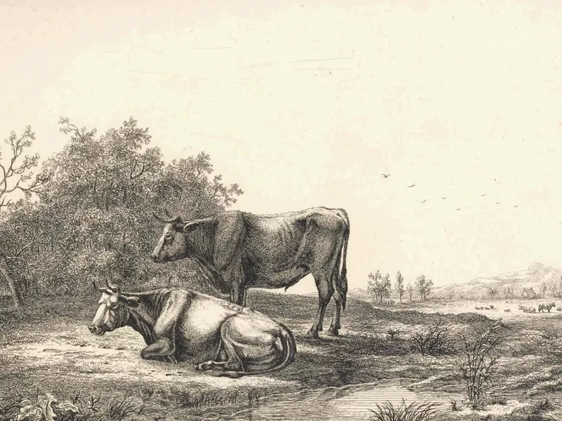 1775-Ernst Willem Jan Bagelaar - Mucche